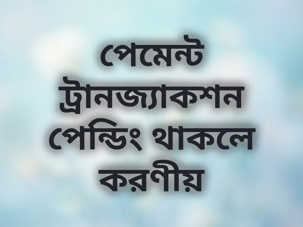 পেমেন্ট ট্রানজ্যাকশন পেন্ডিং থাকলে করণীয়